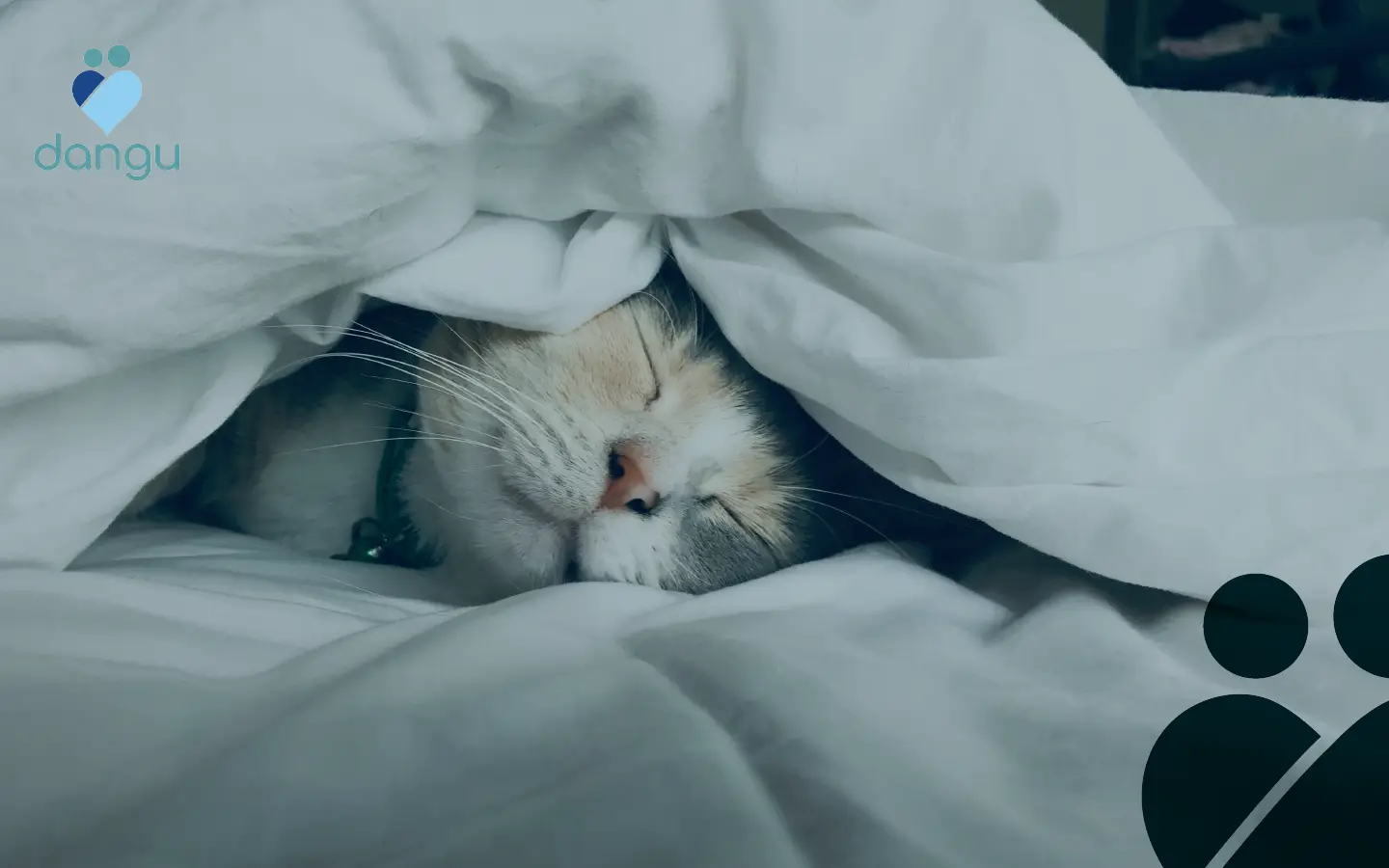 Cara Meningkatkan Kualitas Tidur